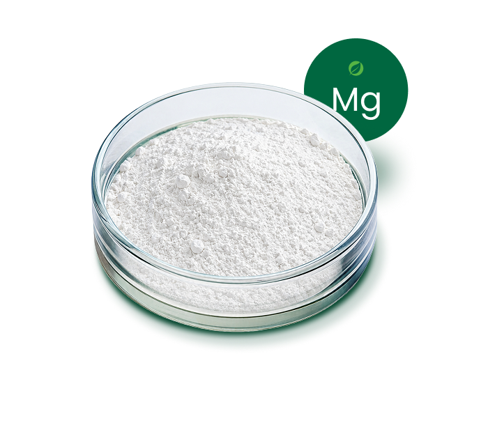 Magnesium Stearate